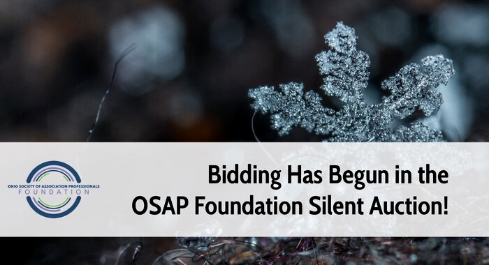 OSAPF 2022 Silent Auction Bidding is Now Open